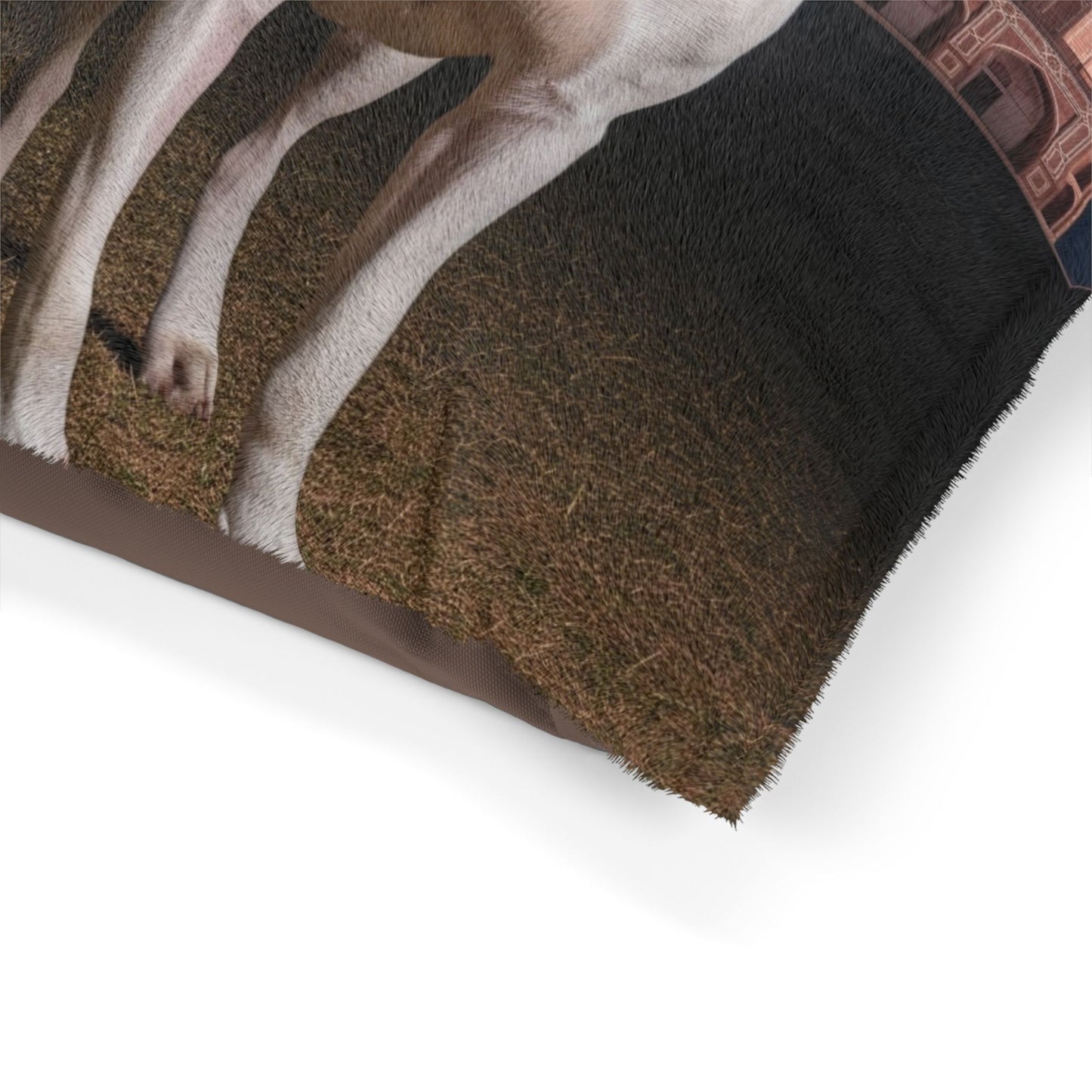 Gull Dong Pet Bed