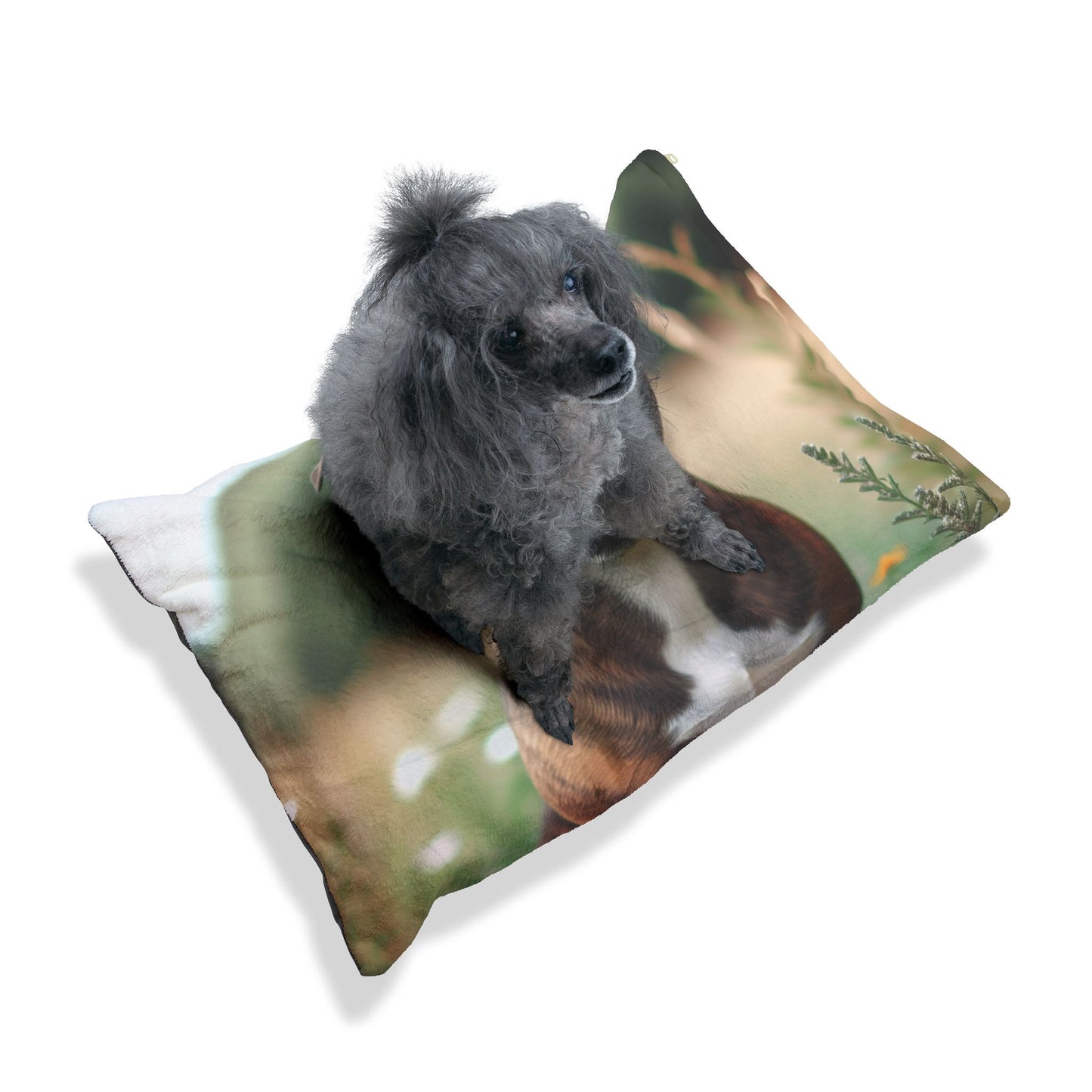 Staffordshire Bull Terrier Pet Bed