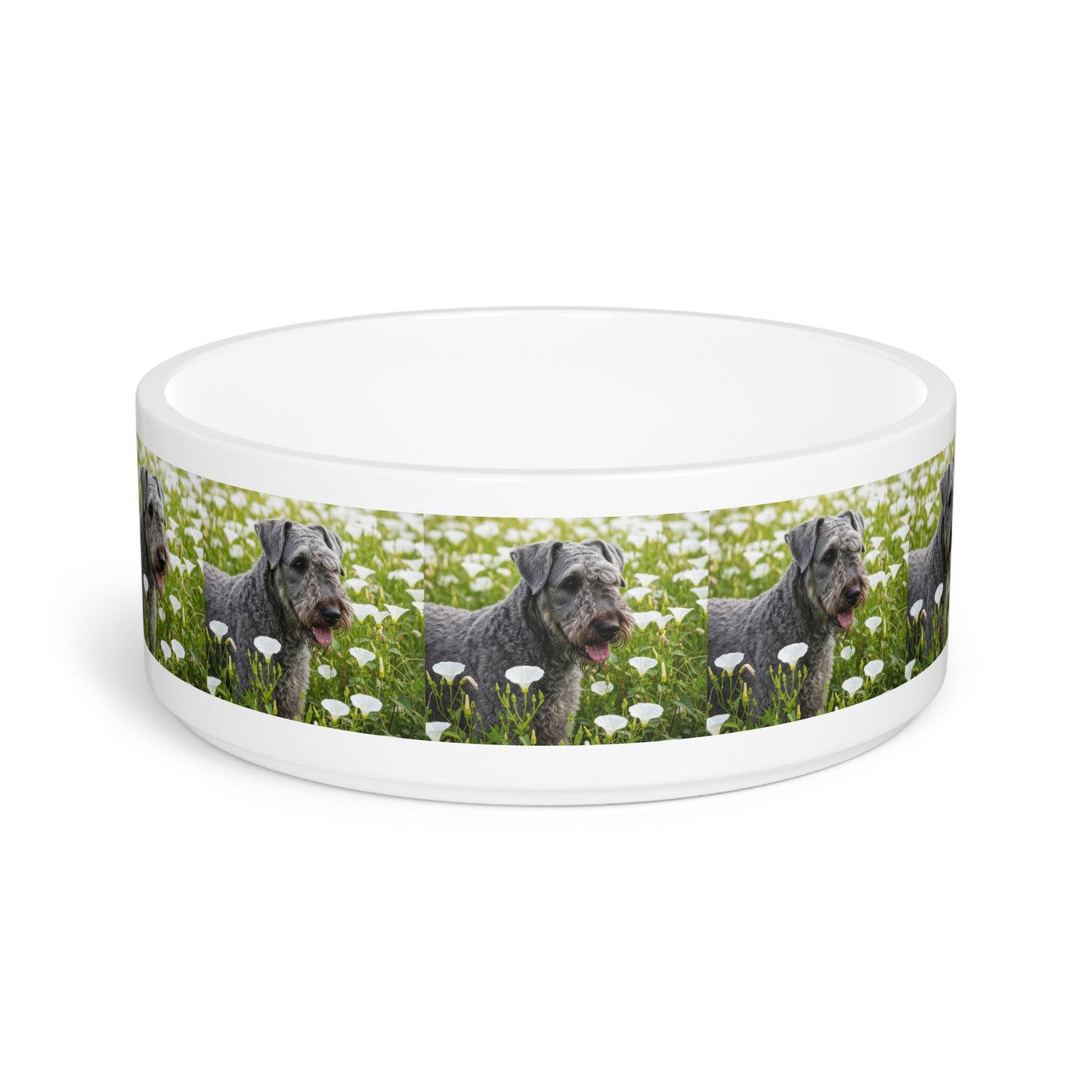 Ceramic Pet Bowl – 16 oz Dog Feeding Bowl