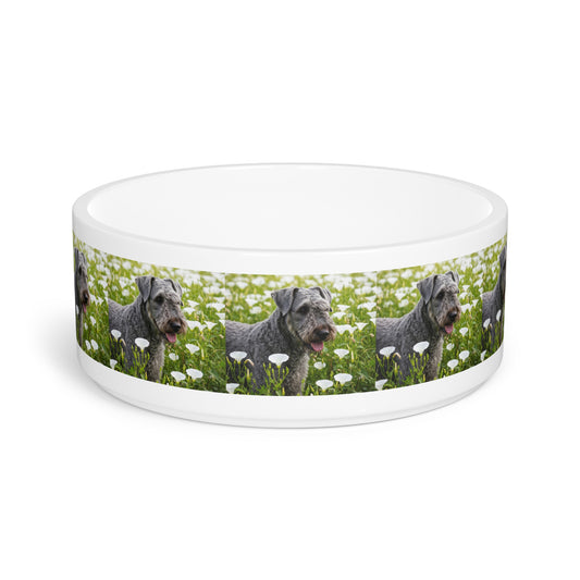 Kerry Blue Terrier Pet Bowl