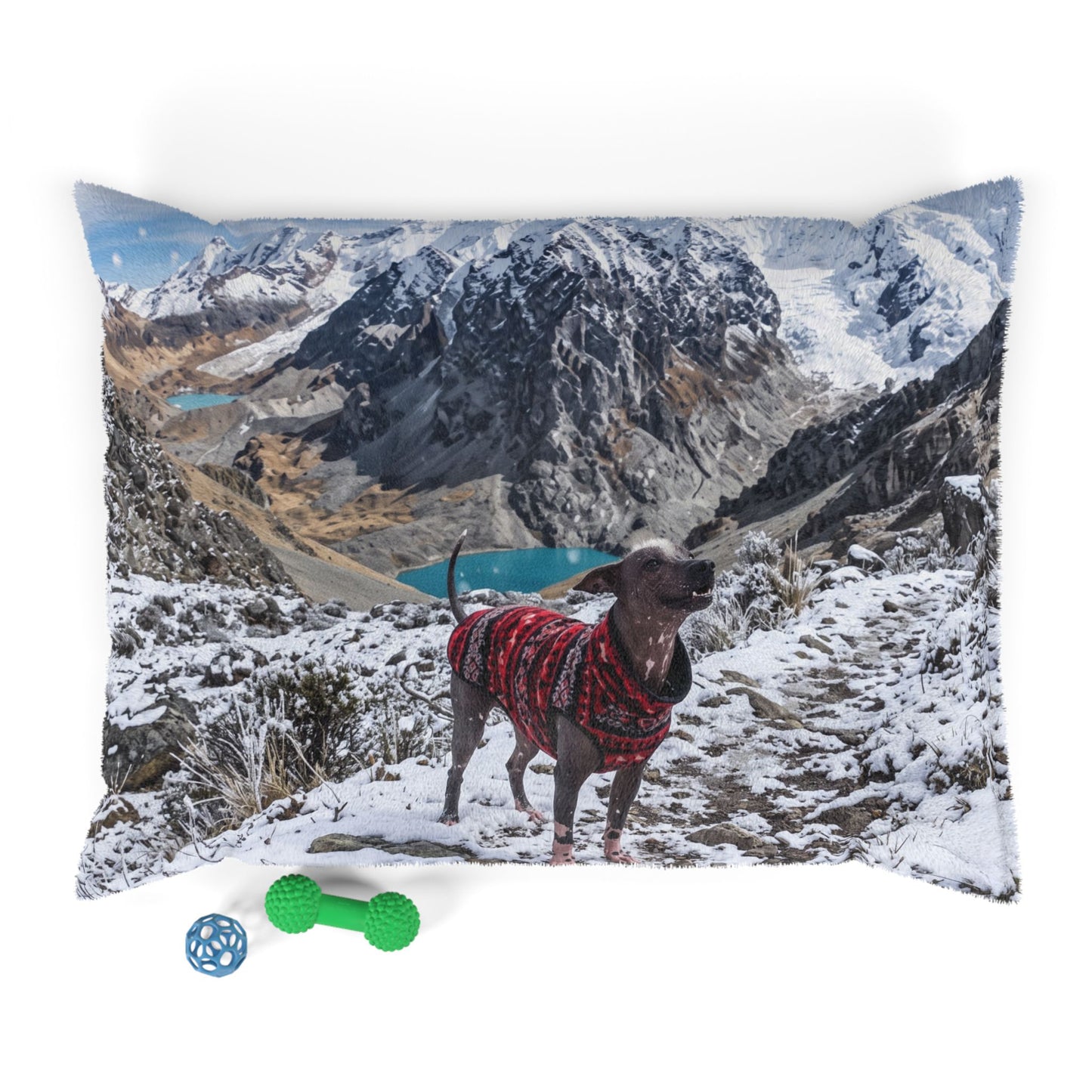 Peruvian Hairless Dog Pet Bed