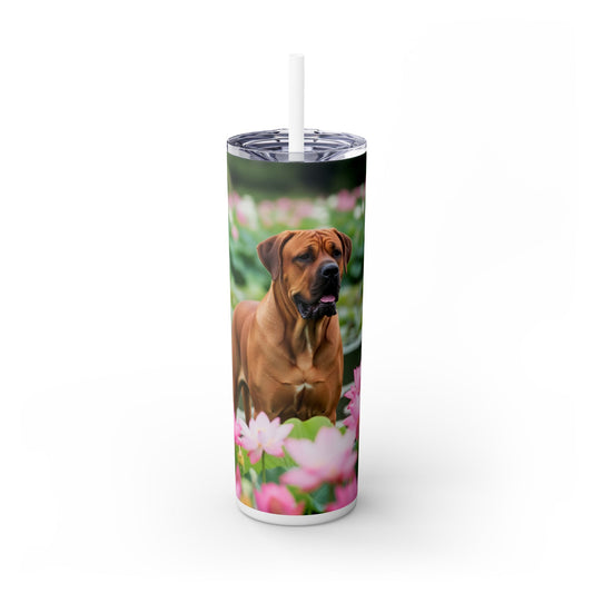 Tosa Tumbler with Straw, 20oz