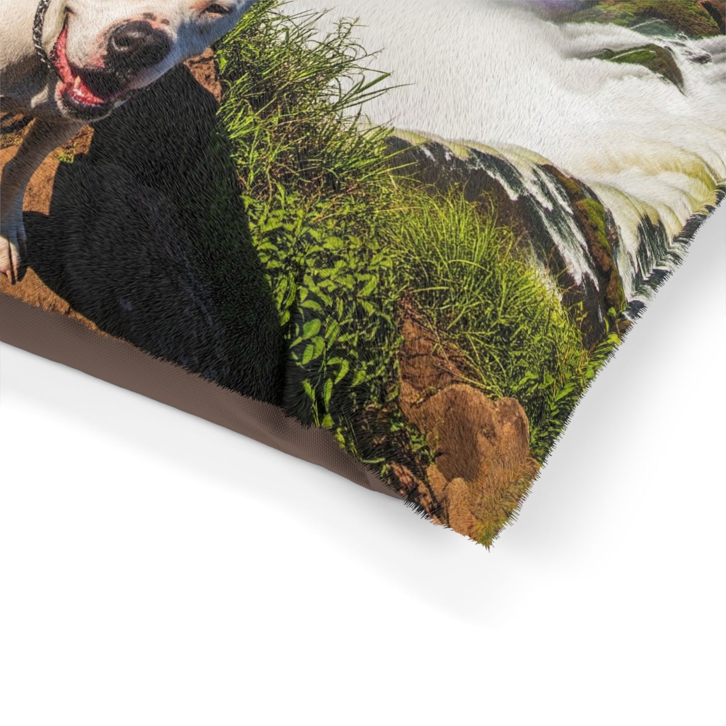 Dogo Argentino Pet Bed
