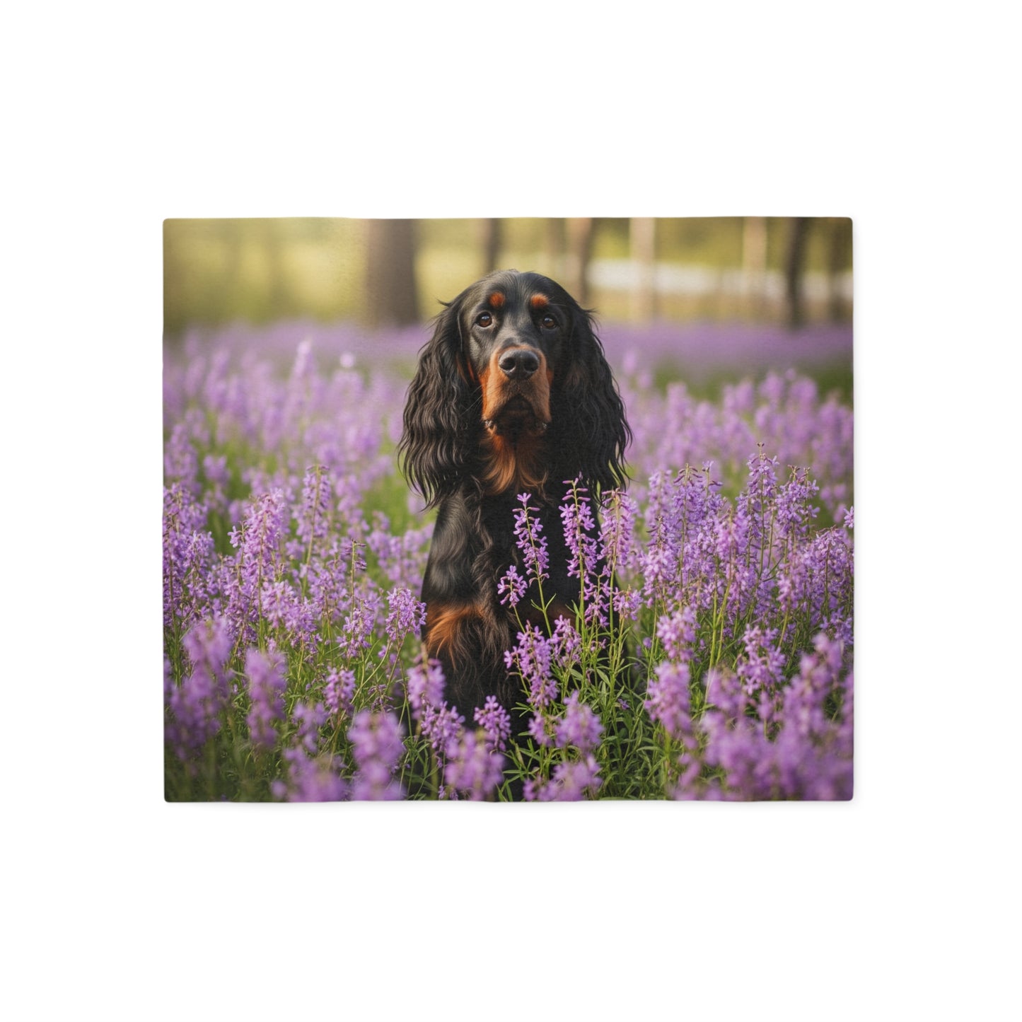 Gordon Setter Sweatshirt Blanket