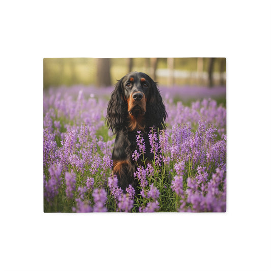 Gordon Setter Sweatshirt Blanket