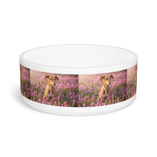 Cirneco dell’Etna Pet Bowl