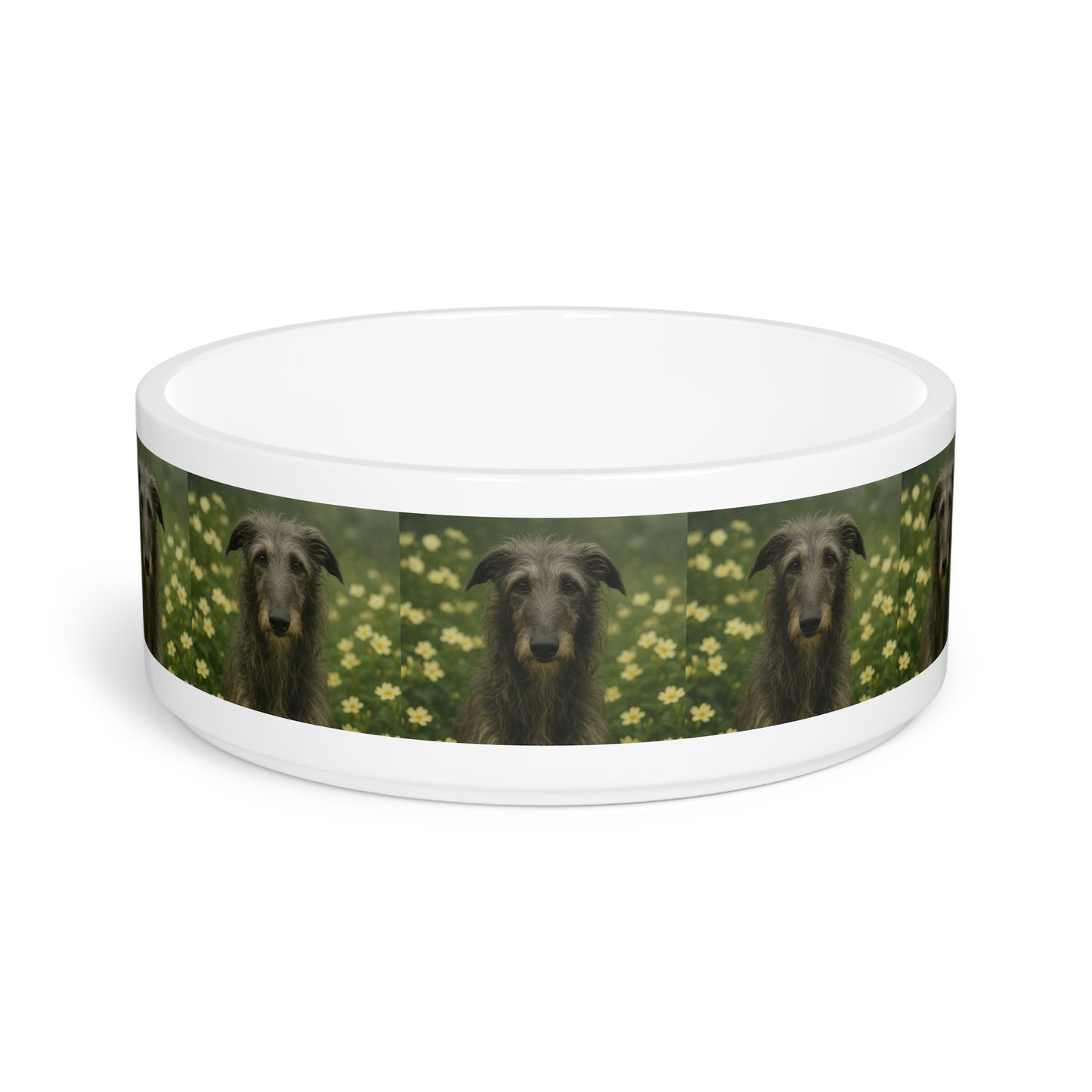 Gamelle pour chien de race Deerhound écossais