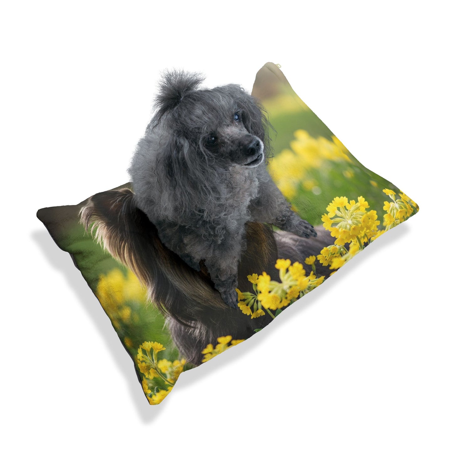 Skye Terrier Pet Bed