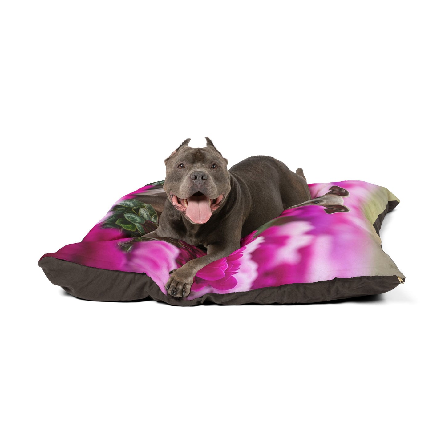 Italian Greyhound Pet Bed