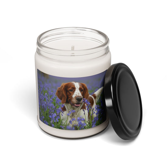 Welsh Springer Spaniel- Scented Soy Candle, 9oz
