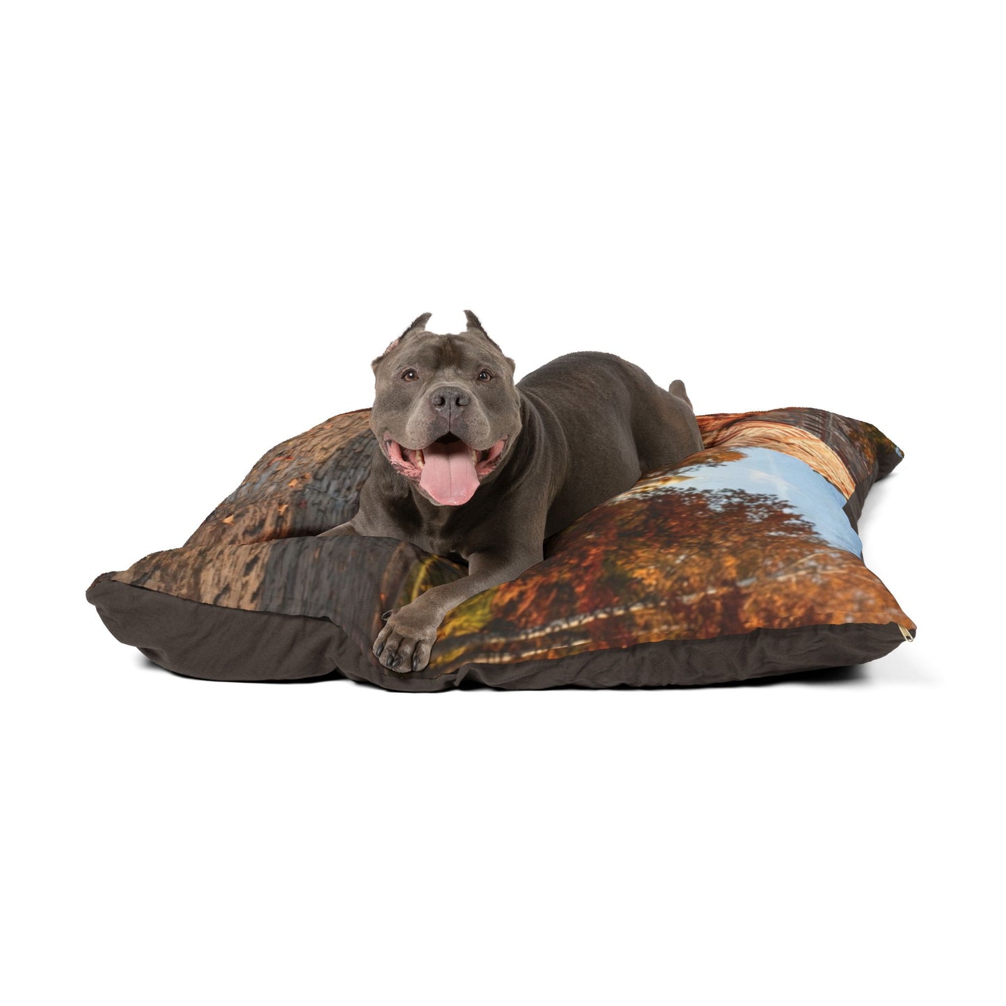 Russian Toy Pet Bed