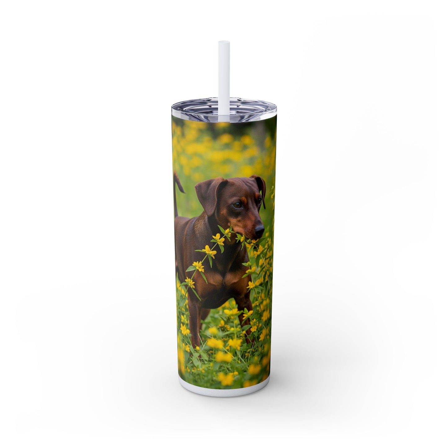 German Pinscher Tumbler with Straw, 20oz