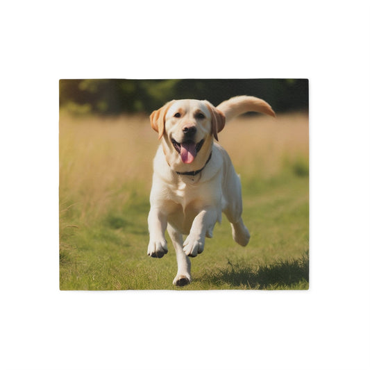 Labrador Retriever Sweatshirt Blanket