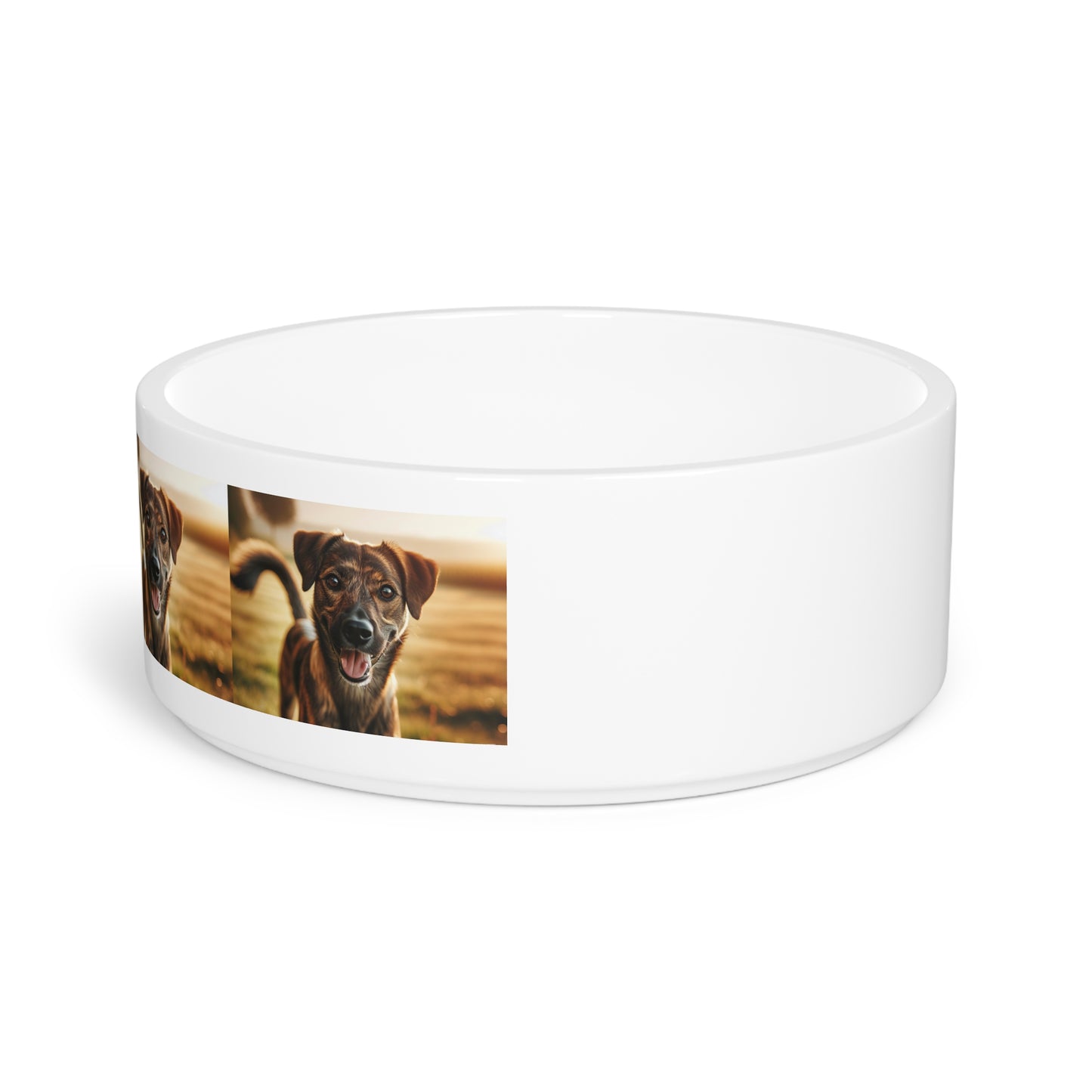 Gamelle pour animaux de compagnie Mountain Cur
