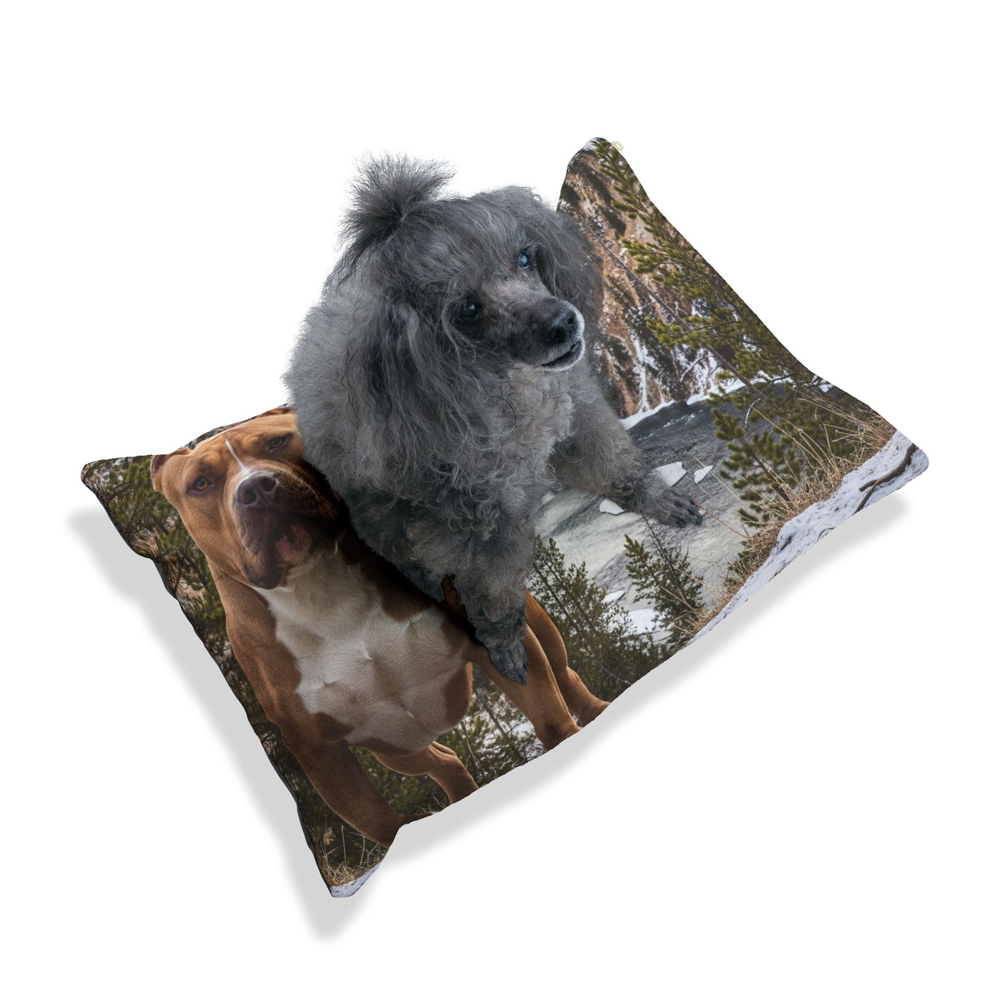 American Bully Pet Bed