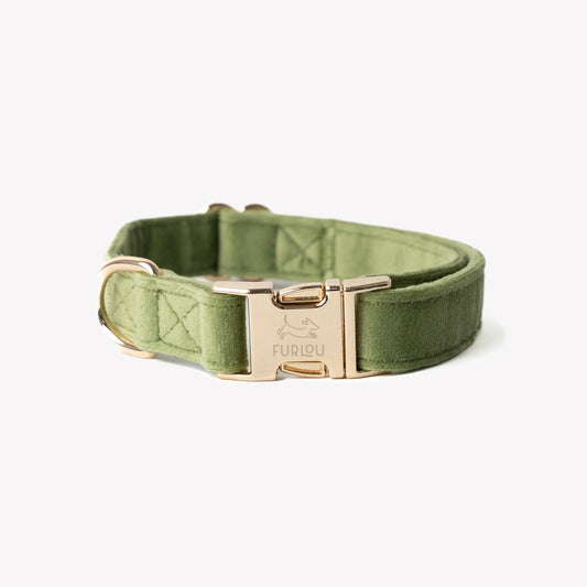 Collier pour chien en velours vert