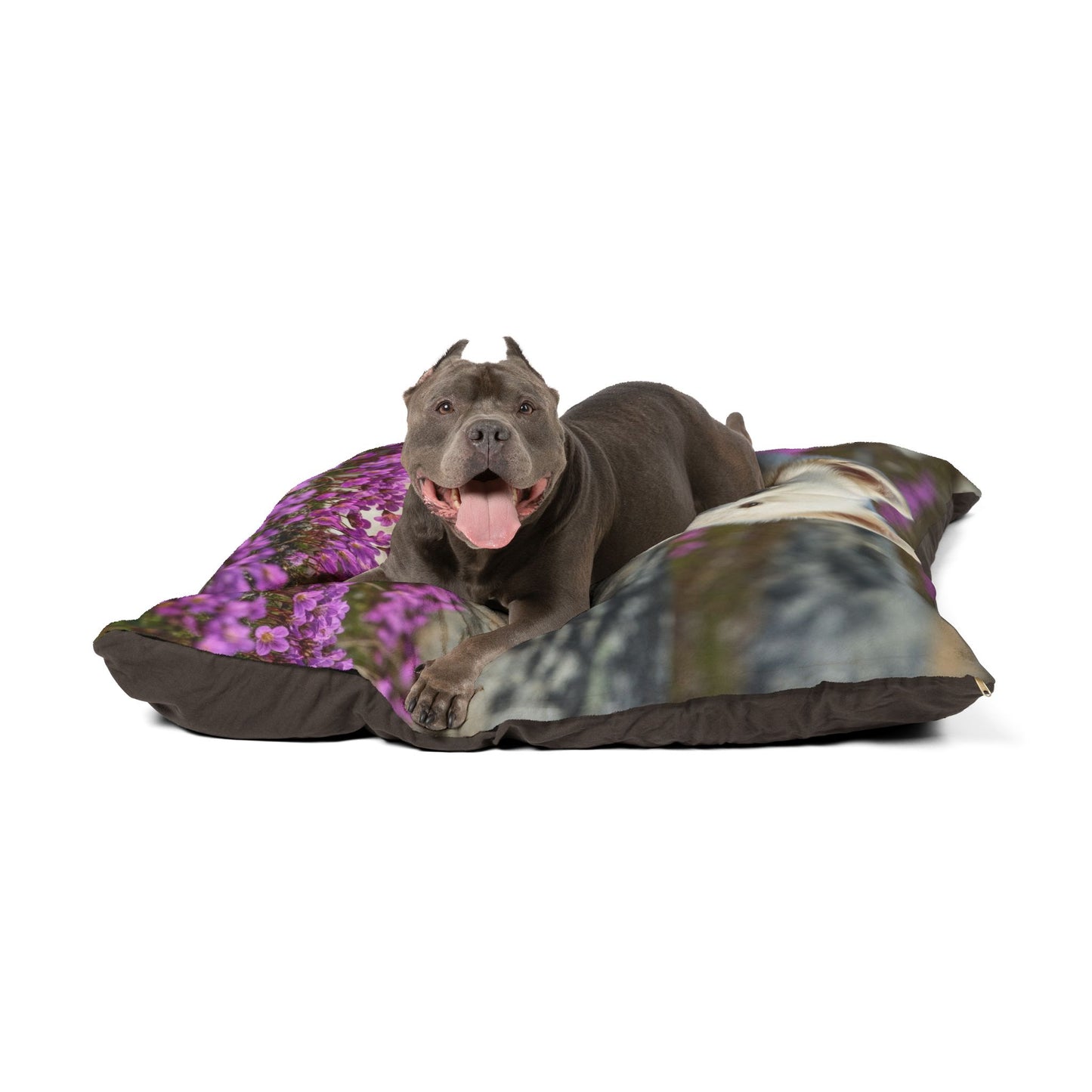 Canadian Eskimo Dog Pet Bed