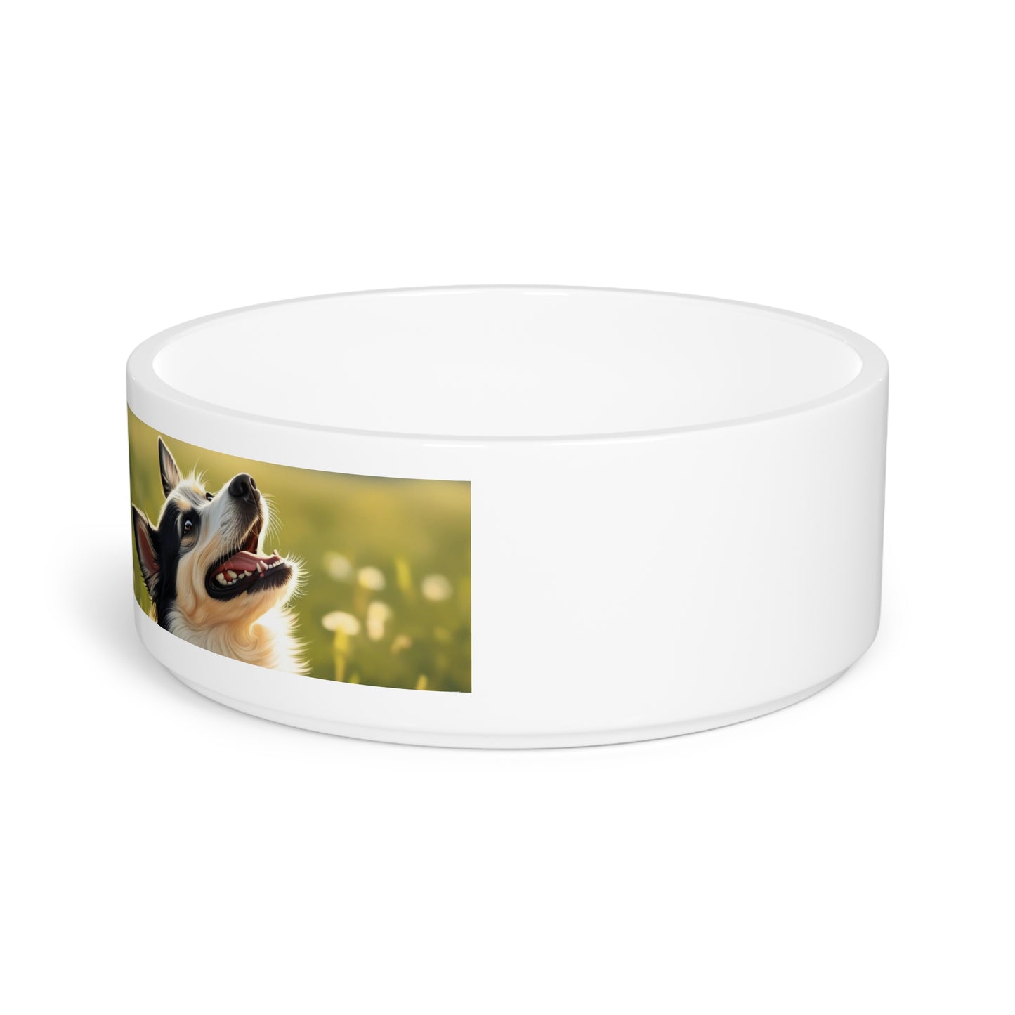 Swedish Vallhund Pet Bowl