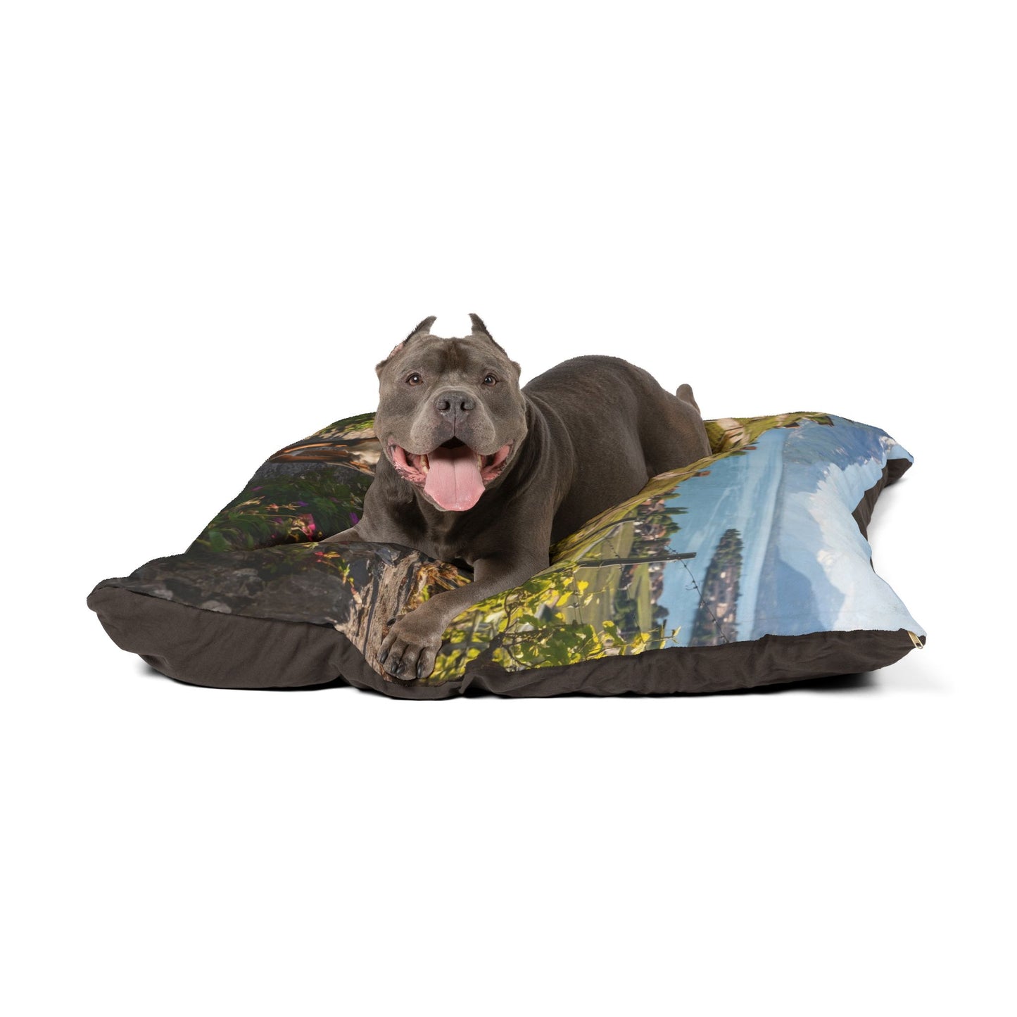 Greater Swiss Mountain Dog Pet Bed