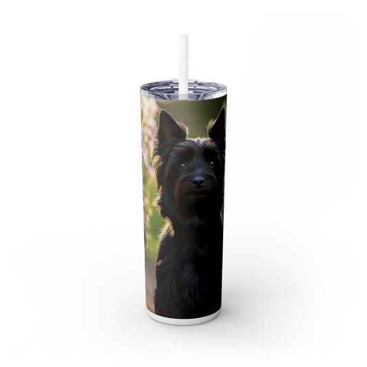 Australian Silky Terrier Tumbler with Straw, 20oz