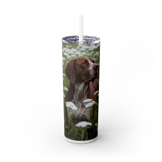 Braque du Bourbonnais Tumbler with Straw, 20oz