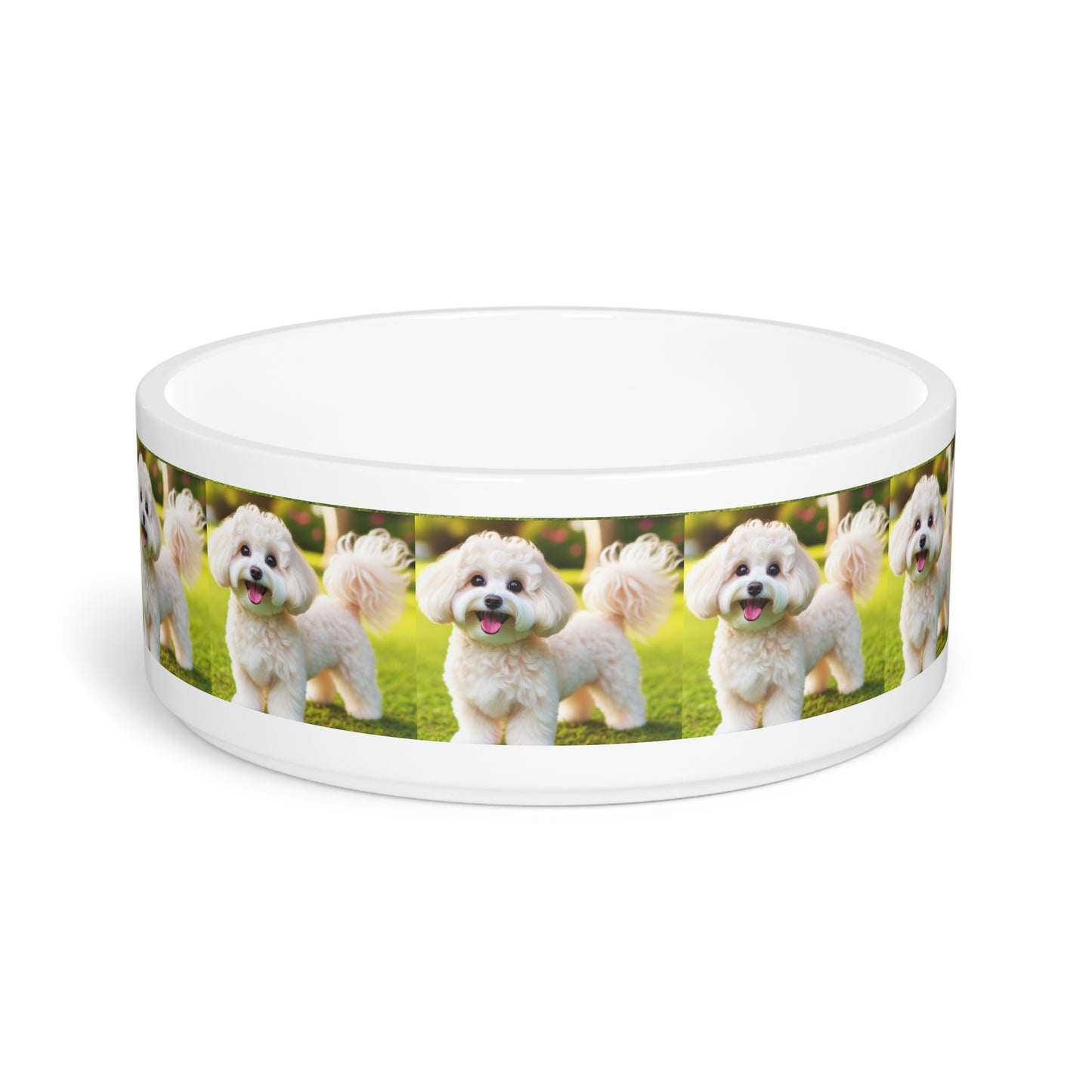 Maltipoo Pet Bowl