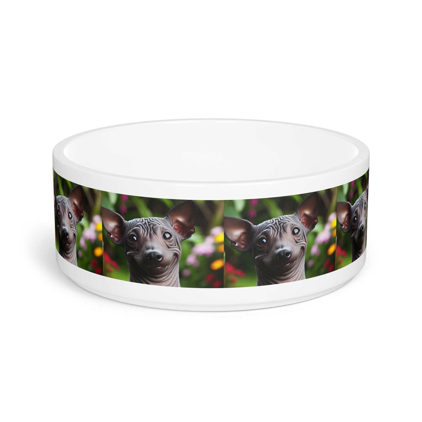 Peruvian Hairless Dog Pet Bowl