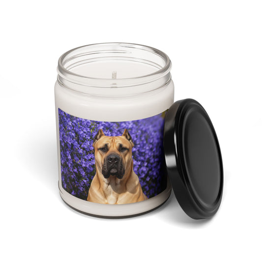 Presa Canario- Scented Soy Candle, 9oz