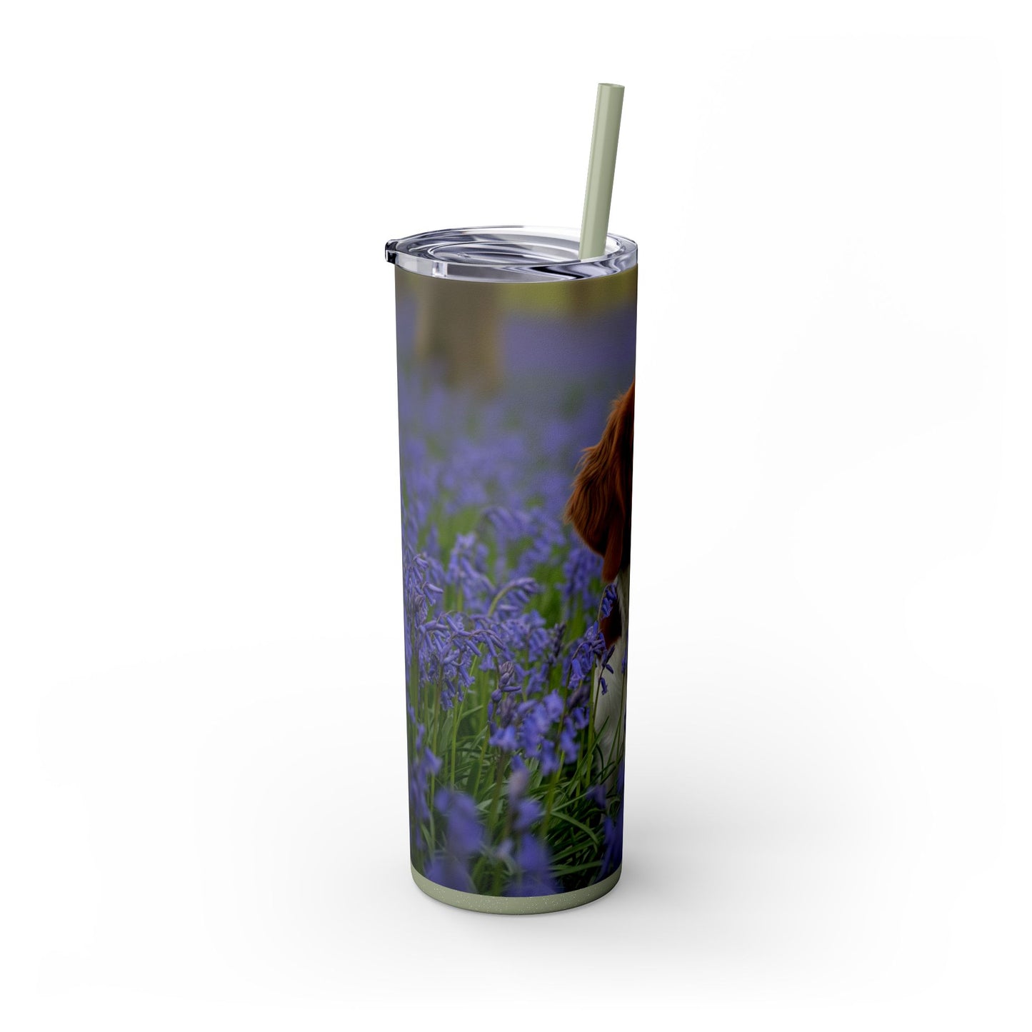 Welsh Springer Spaniel Skinny Tumbler with Straw, 20oz