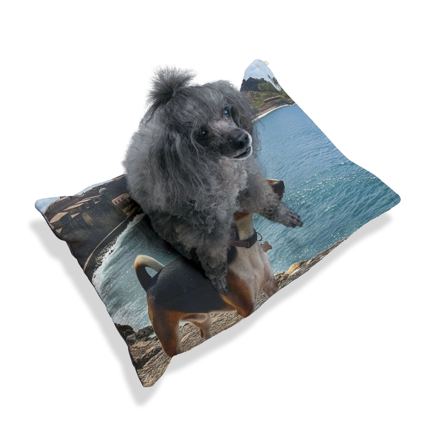 Teddy Roosevelt Terrier Pet Bed