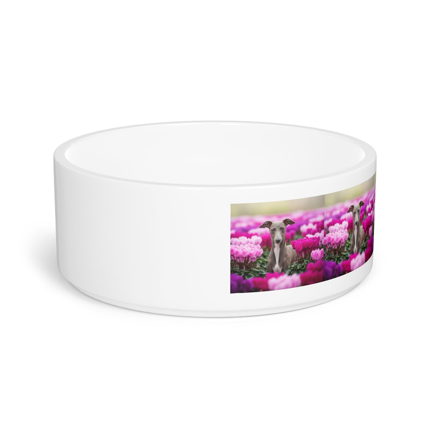 Italian Greyhound Pet Bowl
