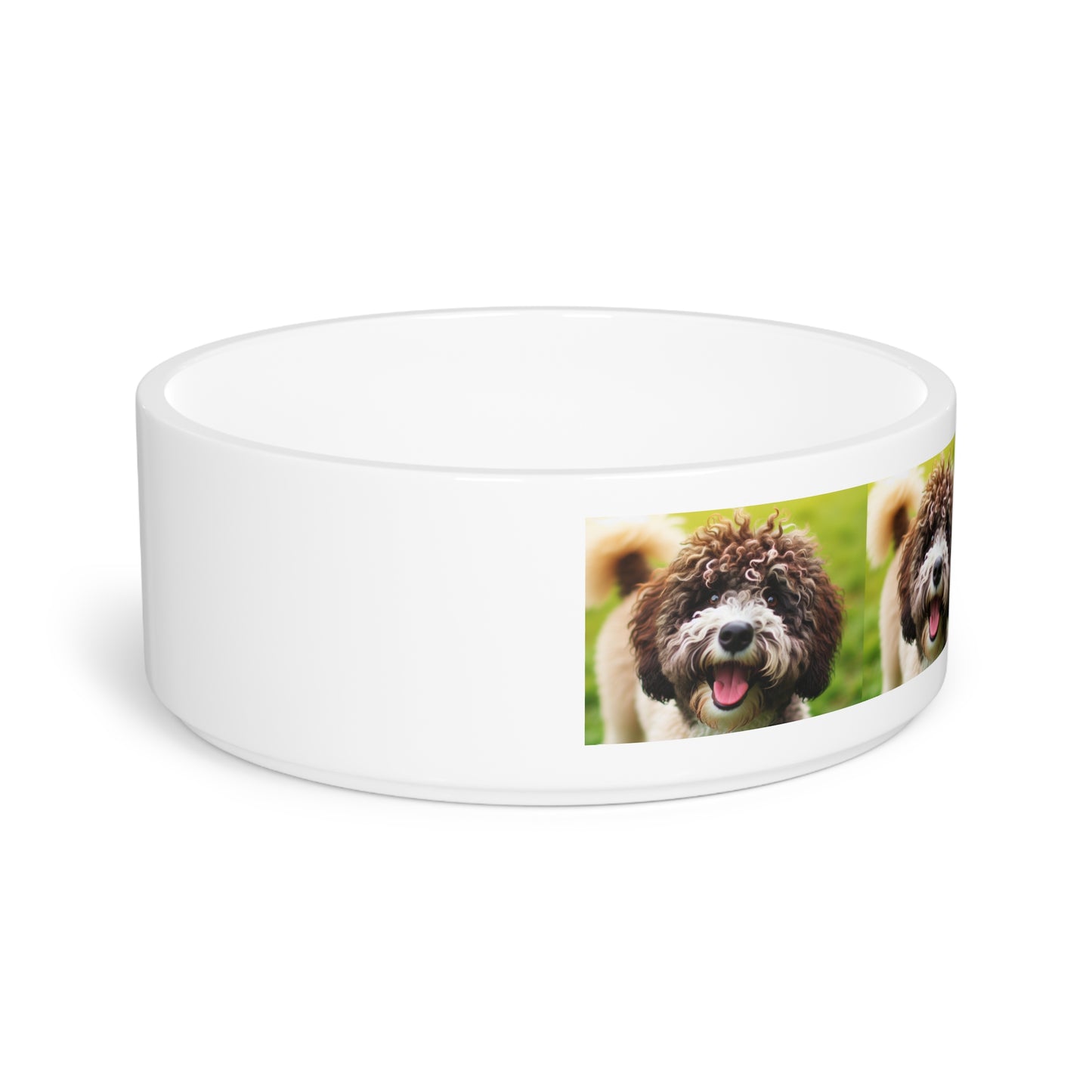 Spanish Water Dog Pet Bowl