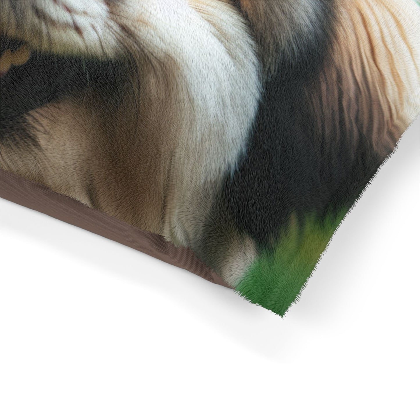 Tibetan Kyi Apso Pet Bed