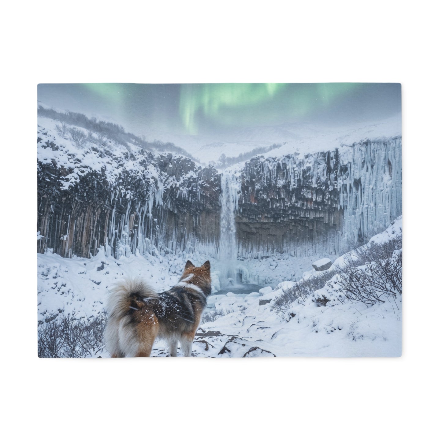 Icelandic Sheepdog Blanket