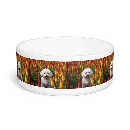 Bichonpoo Pet Bowl