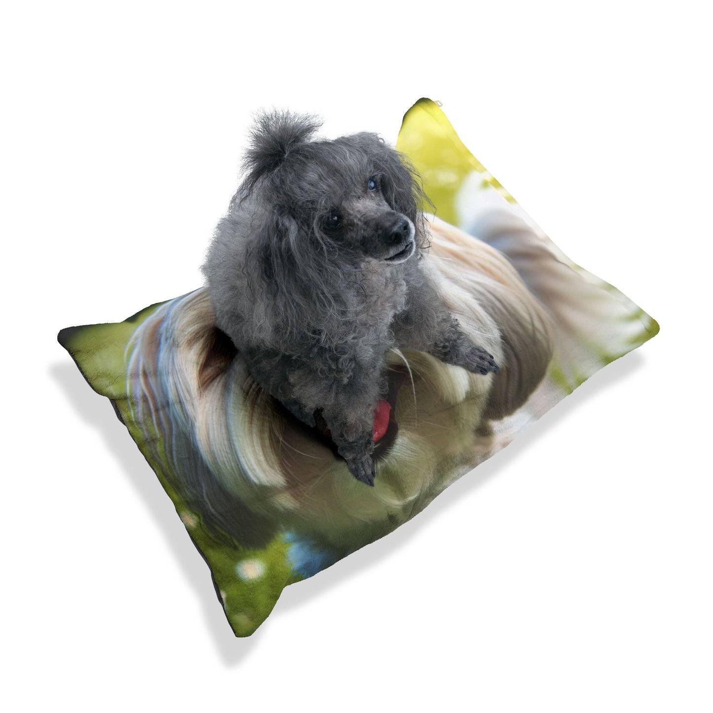 Shihmalt Pet Bed