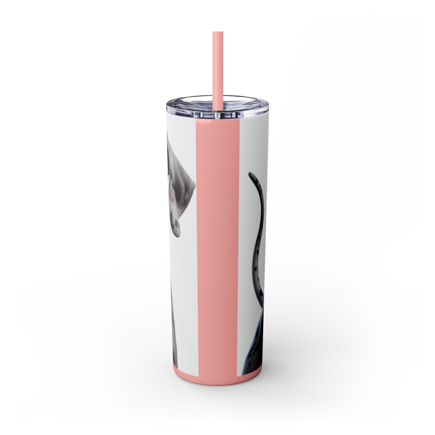 Great Dane Tumbler with Straw, 20oz
