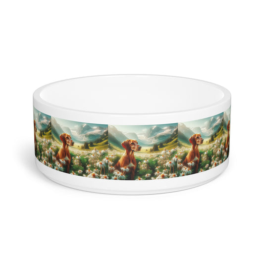 Bavarian Mountain Scent Hound Pet Bowl