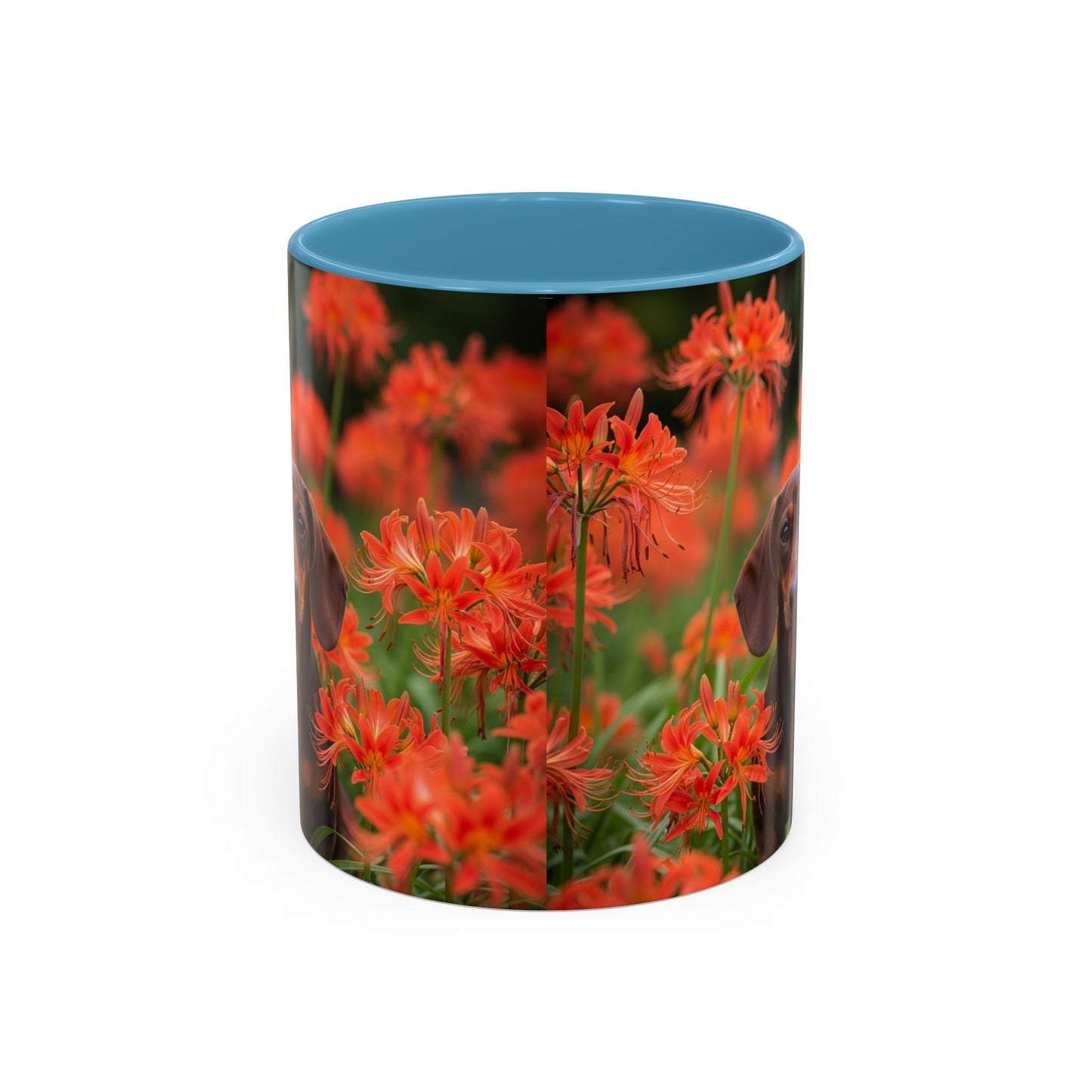 Dachshund Accent Coffee Mug - Perfect Gift for Dog Lovers