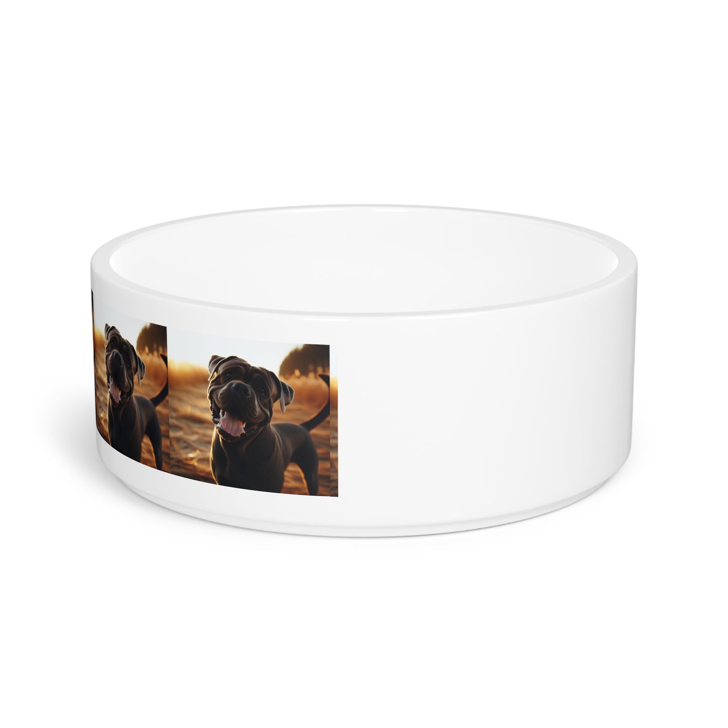 Cane Corso Dog Pet Bowl