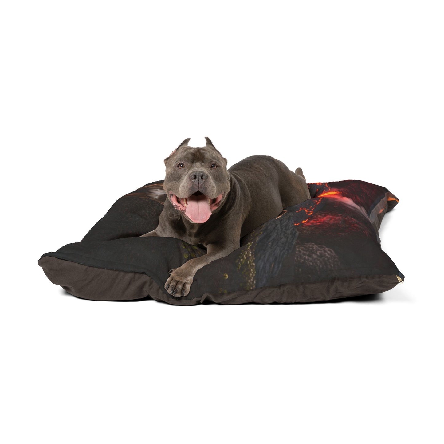 Pit Bull Pet Bed
