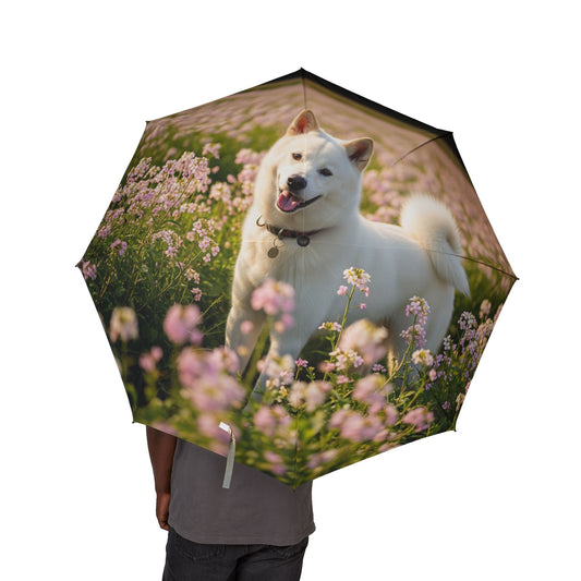 Kishu Ken Semi-Automatic Foldable Umbrella