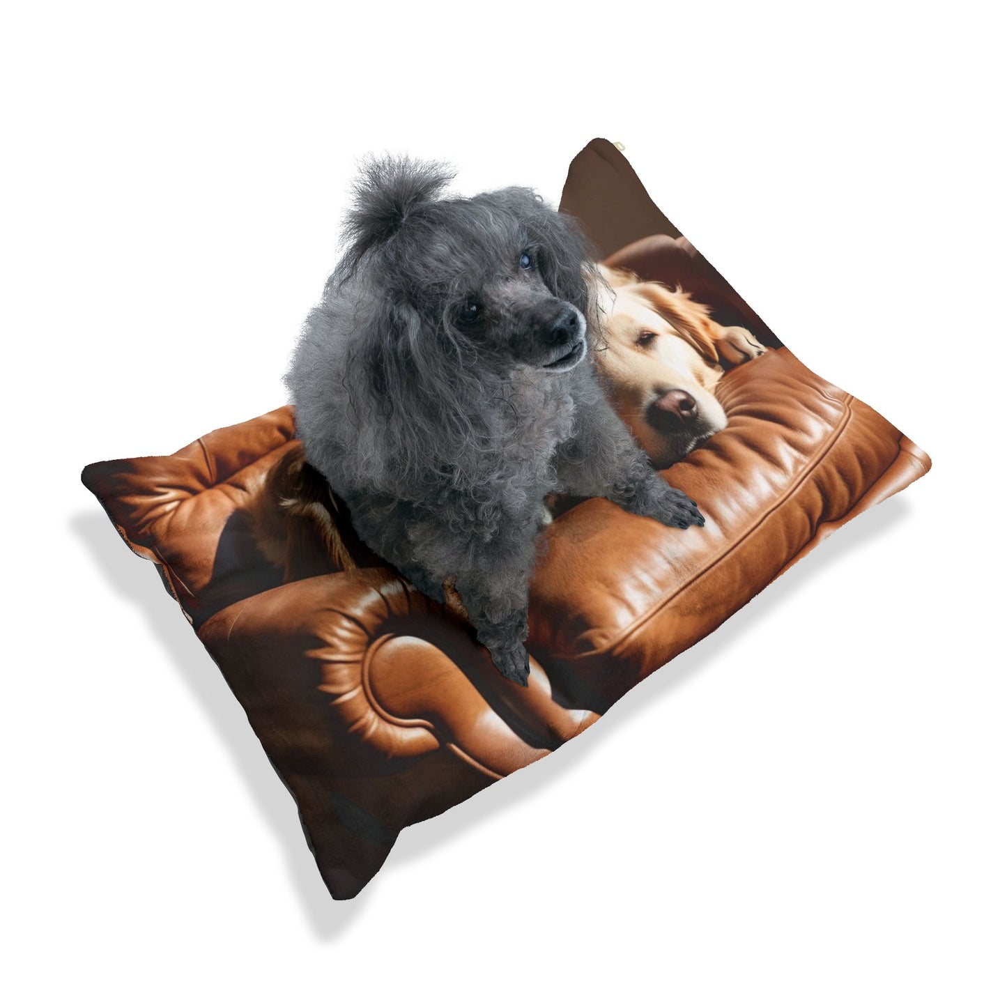 Recliner Dogs Pet Bed