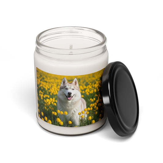 Siberian Husky- Scented Soy Candle, 9oz