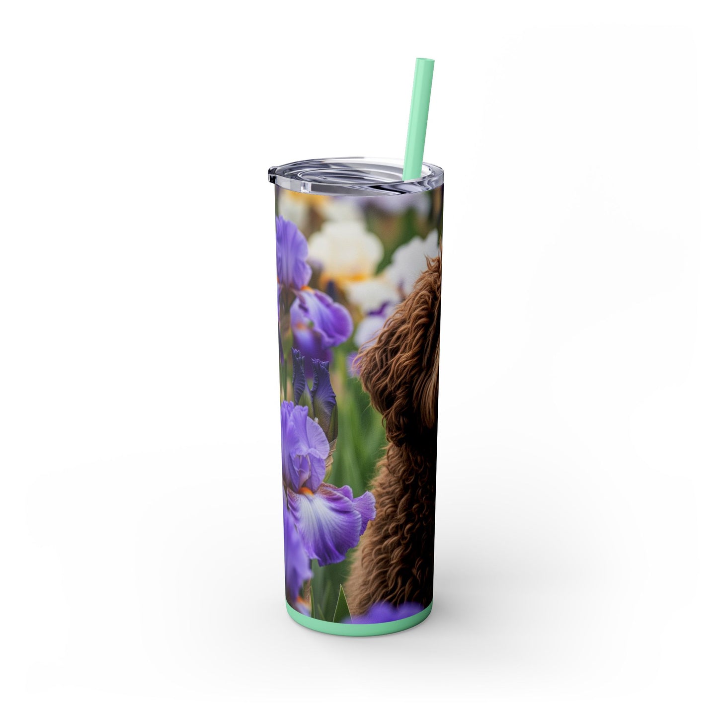 Barbet Skinny Tumbler with Straw, 20oz