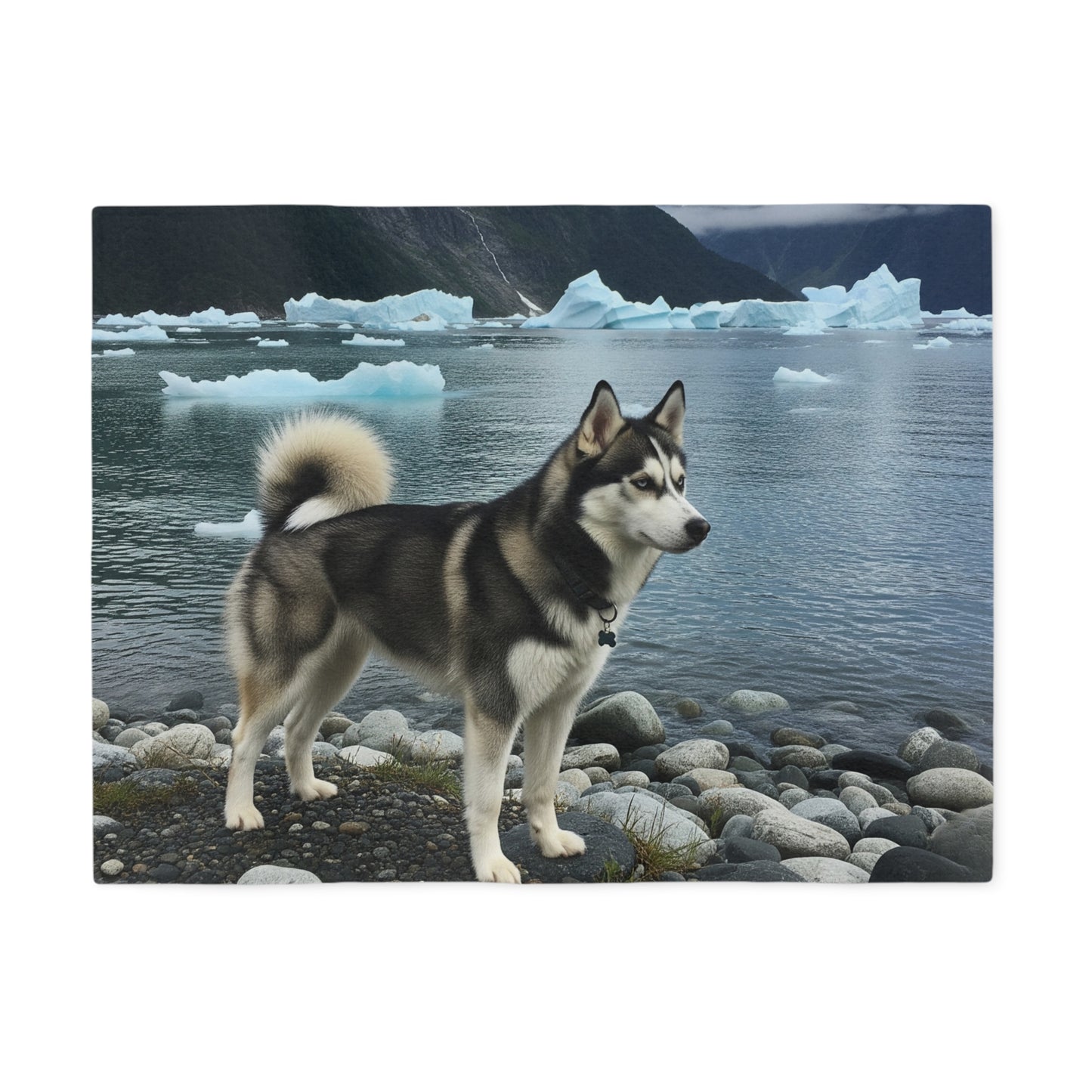 Alaskan Klee Kai Blanket