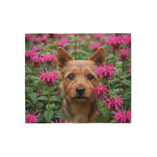 Norwich Terrier Sweatshirt Blanket