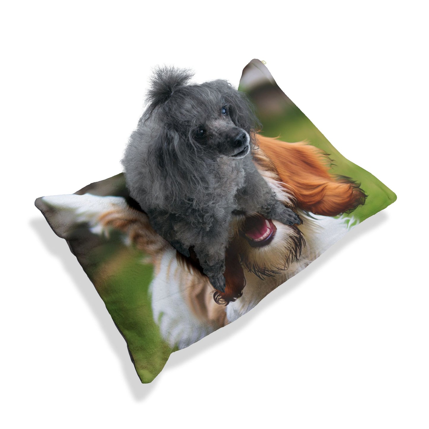 Petit Basset Griffon Vendeen Pet Bed