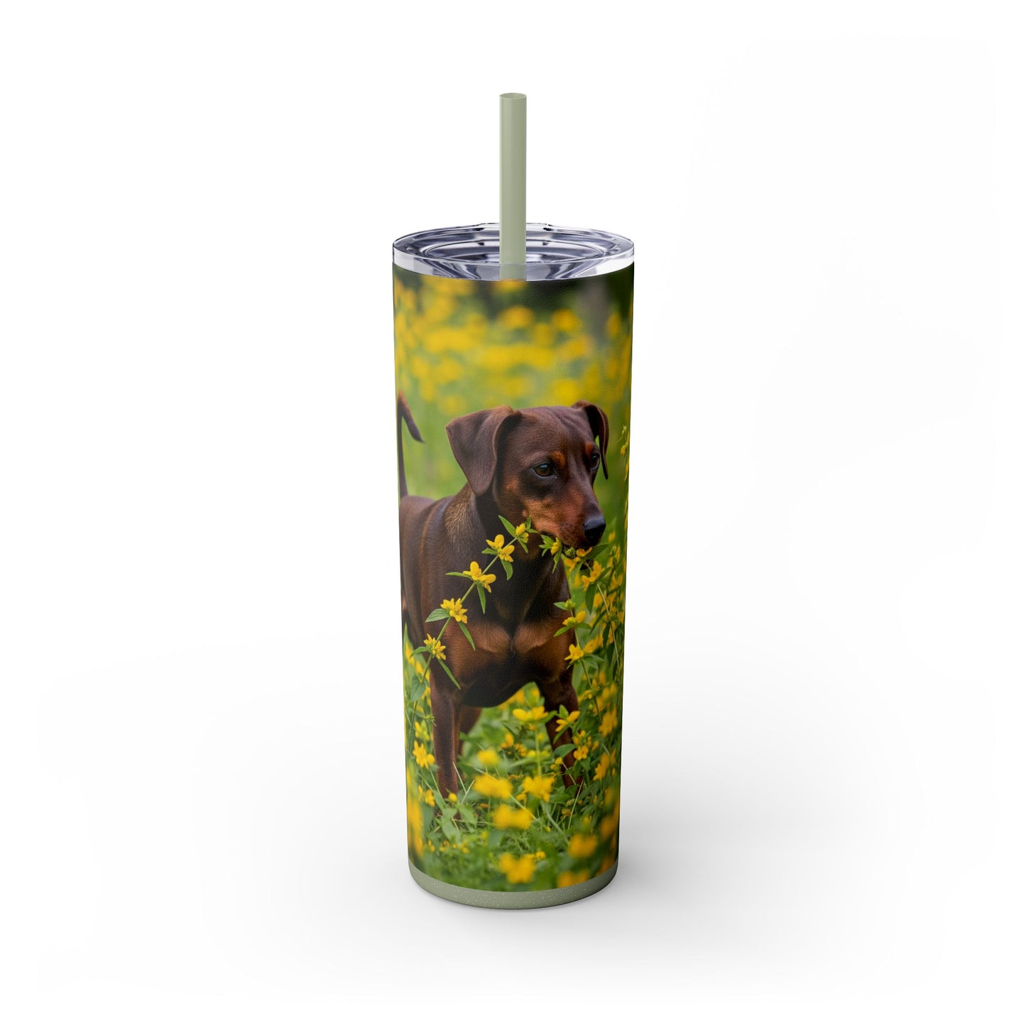 German Pinscher Tumbler with Straw, 20oz
