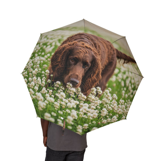 Irish Water Spaniel Semi-Automatic Foldable Umbrella